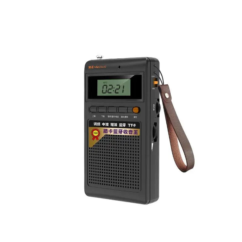 Tragbares schwarzes Retro-Radio mit LCD-Display und Ledertrageschlaufe, ideal für unterwegs.