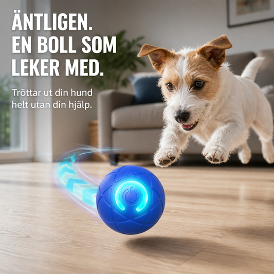 Liten hund hoppar efter en blå lysande boll som rullar över parkettgolvet i vardagsrummet 1