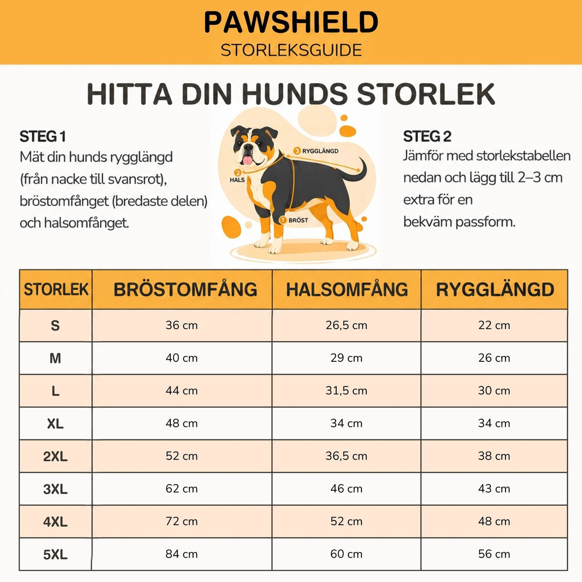 Storlekstabell med mätguide som visar hur man mäter bröst, nacke och ryggländ på hunden, med mått för varje storlek. 10