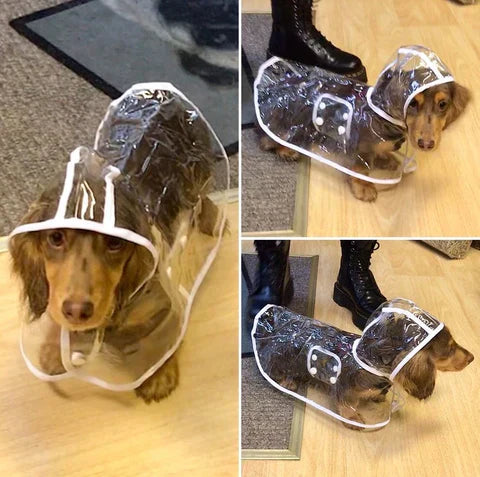 Dackel im transparenten Regenmantel, Hundebekleidung, wasserdicht, Haustierzubehör.