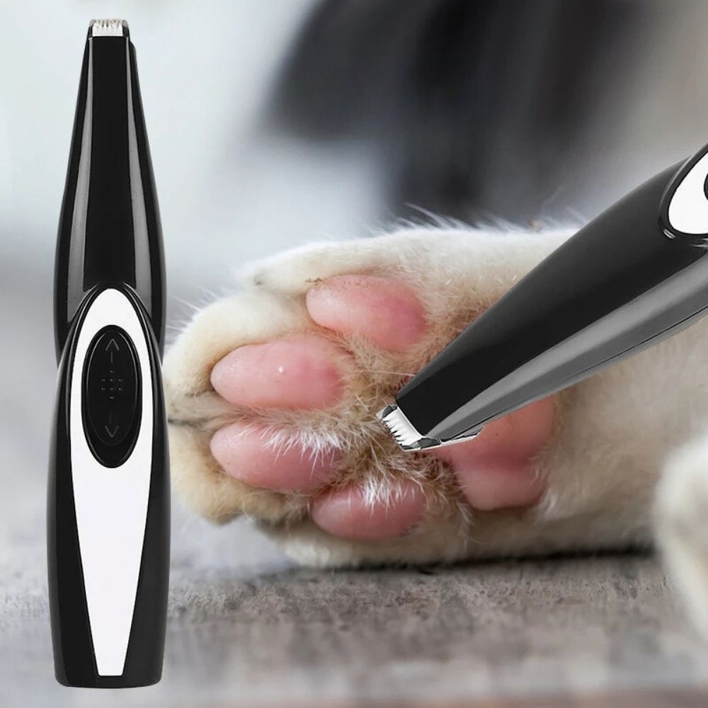 Schwarzer elektrischer Haustiertrimmer schneidet Katzenpfotenhaare, präzise Pflegewerkzeug.
